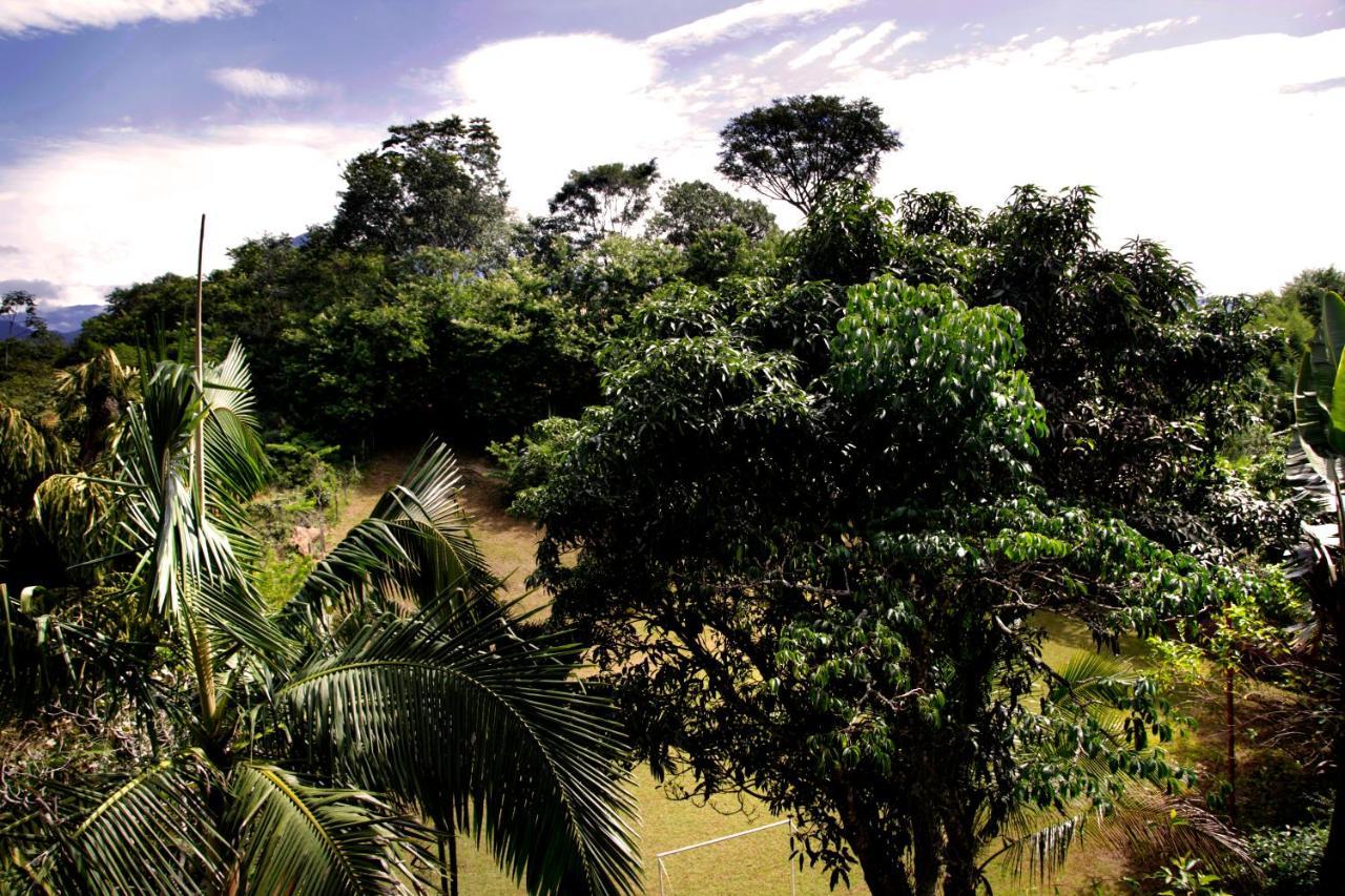 Flor De Penedo (Rio de Janeiro)