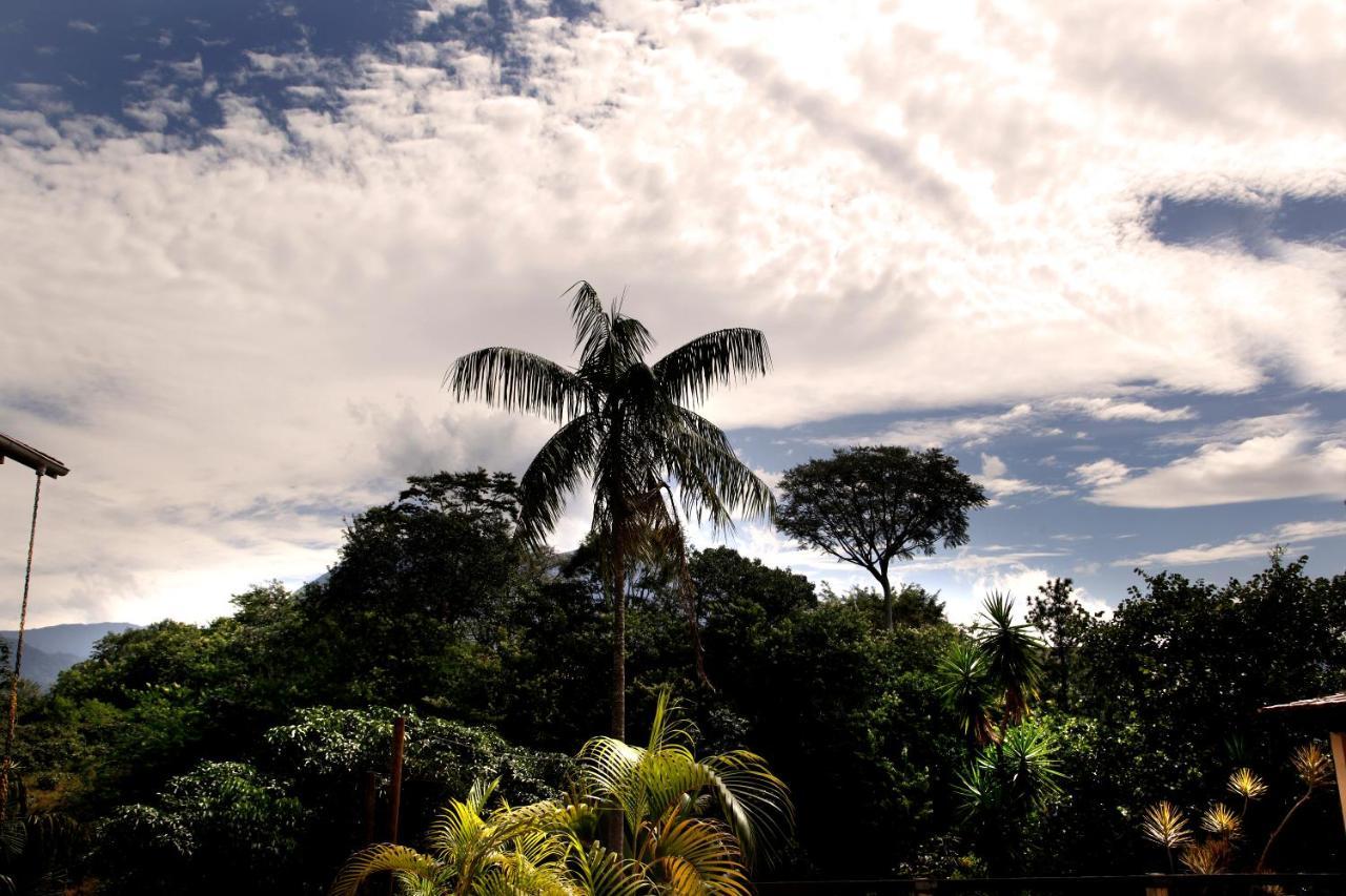 Flor De Penedo (Rio de Janeiro)